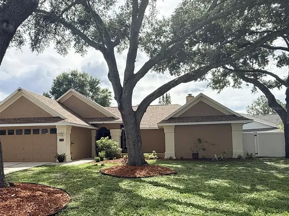 18306 Felspar Way, Tampa, FL 33647