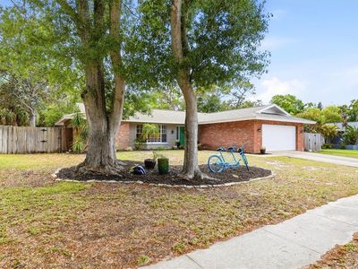 1143 Lancer Ln, Tarpon Springs, FL, 34689