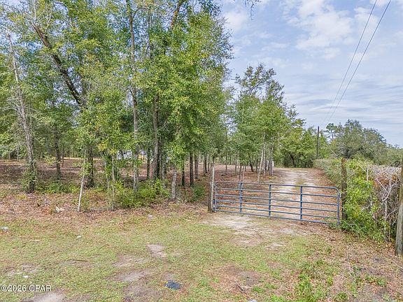 4th image of 7067 Campflowers Rd