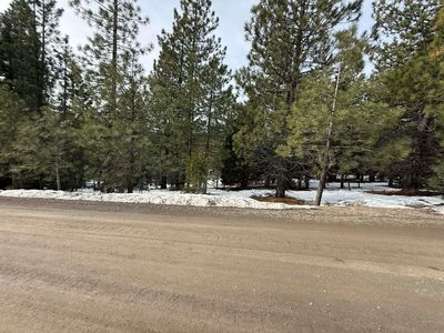 7306 Marilyn Dr, Portola, CA, 96122