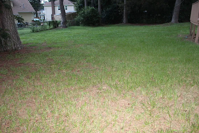446 Pheasant Run Dr — Photo 8