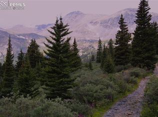 Forest Service 408 Rd, Alma, CO 80420