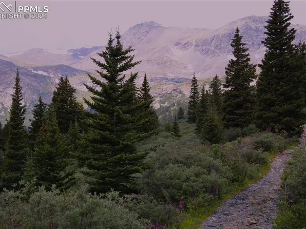 Forest Service 408 Rd, Alma, CO 80420