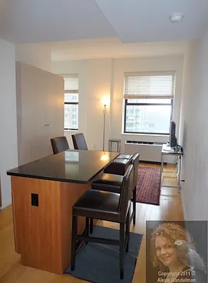 Rented by New York Residence | media 105