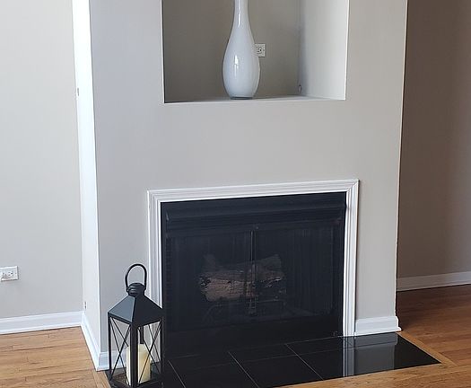5th image of 525 W Superior St APT 223
