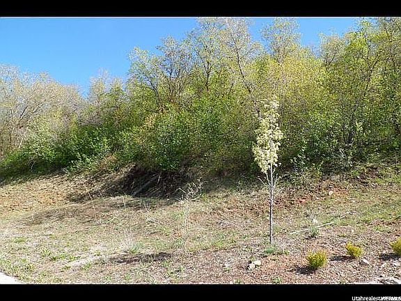 4th image of 3893 S Mountain Oaks Dr