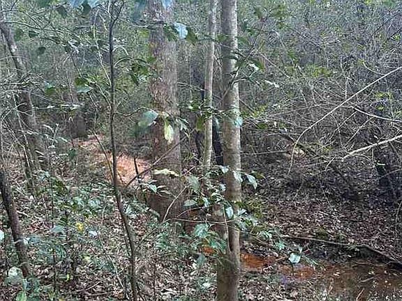 3rd image of 4225 Greaves Rd