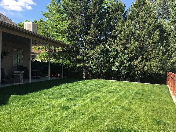 Back yard