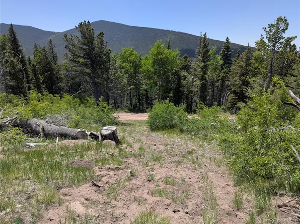 3268 Grojean Drive, Fort Garland, CO 81133