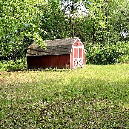 Storage Shed & Fruit Trees