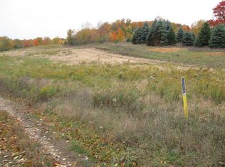 Chief Rd, Bear Lake, MI 49614
