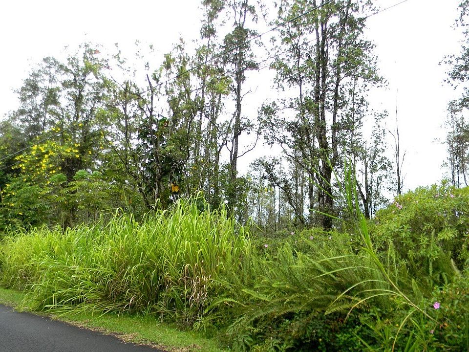 2nd image of Ohia Dr Lot 29
