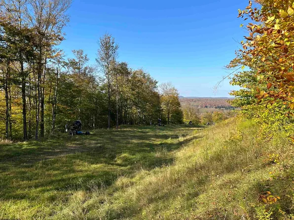 73 Twister Ln, Davis, WV 26260