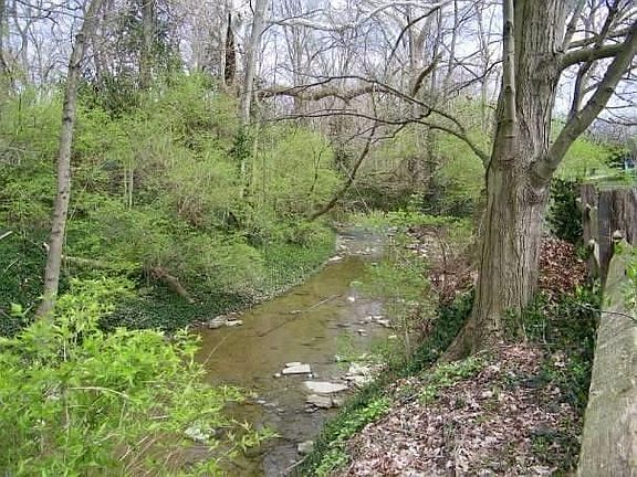 Creek