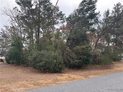 0 Keysville Ave, Spring Hill, FL, 34608