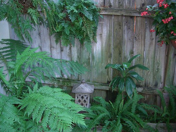 Rear Patio Landscape Wall