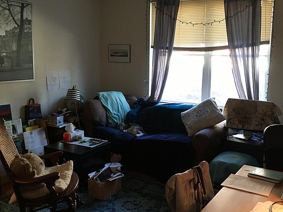 winter sunlight through living room window View of trees and neighbors walking to the park