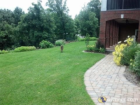 Beautiful Level Back Yard