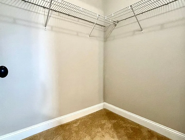239 Fountain Grove Dr — Photo 35