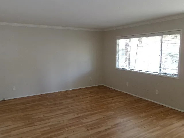 1 bed, $2,800 — Photo 2