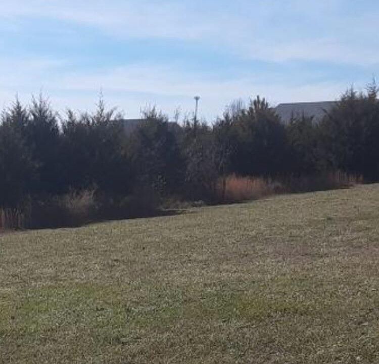 2nd image of 149 Cold Creek Rd