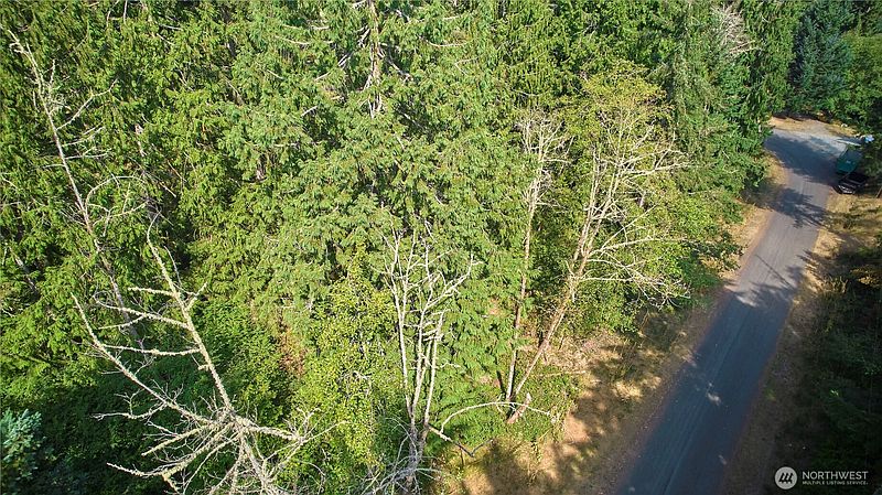 3rd image of 10114 Selma Circle