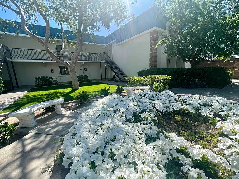 Seasonal flowers