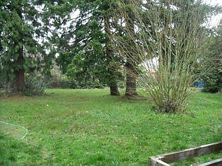 Large Yard
