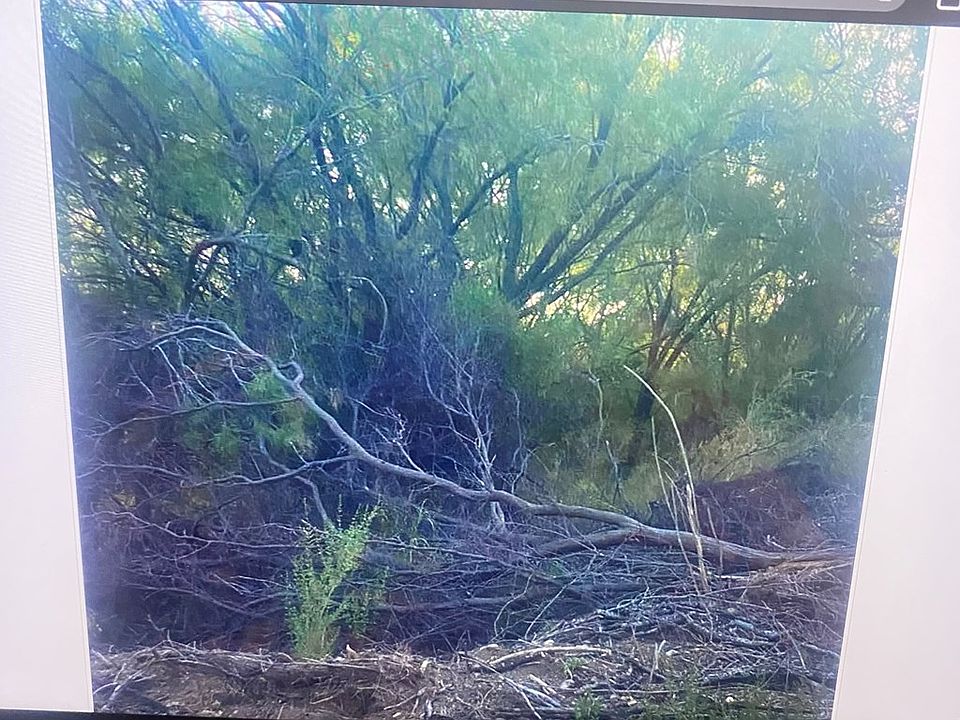 2nd image of 498 Chavarria Rd #D