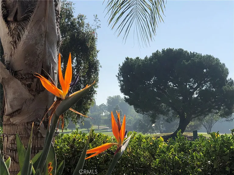 2022 Via Mariposa E #B — Photo 32