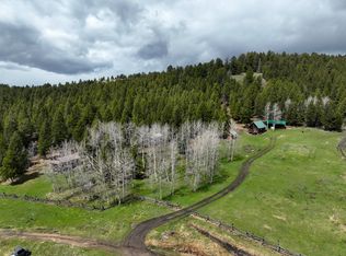 276 Angel Dr, Warm Springs, MT 59756