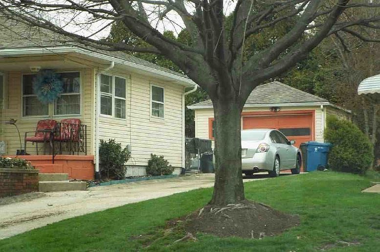2nd image of 281 Glenn St