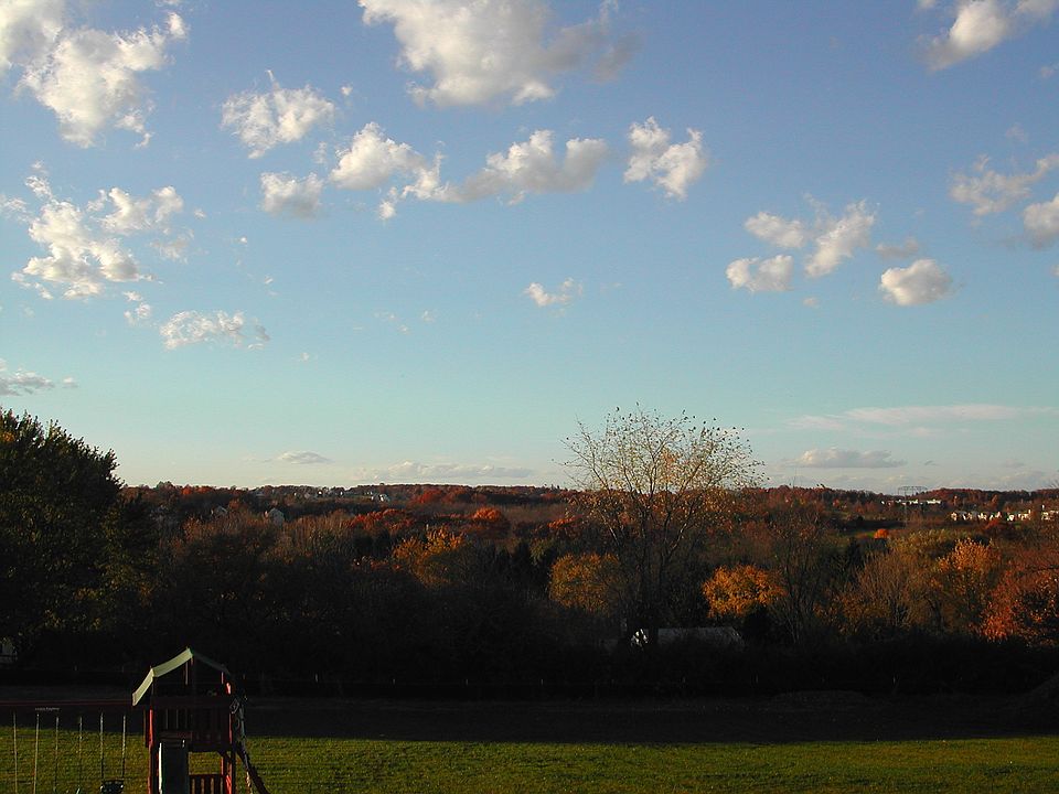View from deck/Kitchen