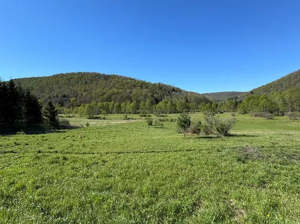 0 Route 44 N, Coudersport, PA 16915