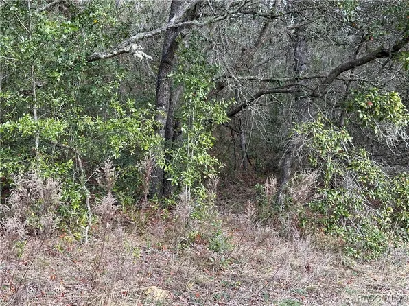 4053 W Firewood Loop, Citrus Springs, FL 34433