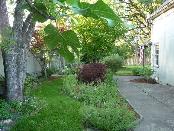 front-side yard