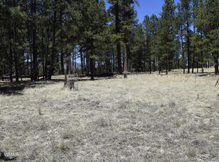 61 County Rd, Alpine, AZ 85920