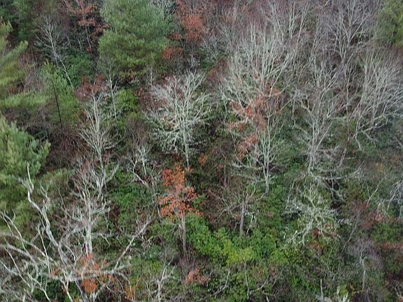 2nd image of 10.6 AC Cross Creek Road