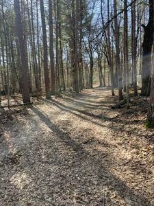 0 Forest Trl #1637, Pound, WI, 54161