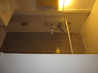 Rented by Elinor Taasa, LREB