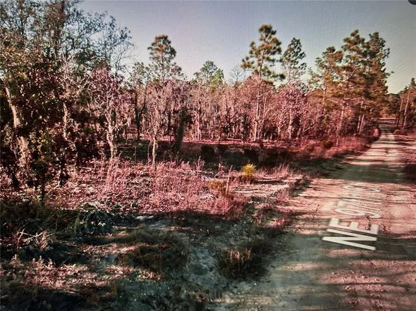 03381-235-00 NE 97th Ct, Bronson, FL 32621