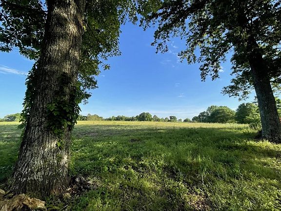 5th image of 688 County Road 263