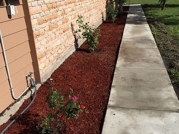 Landscaping along Walkway