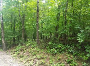 Watts Dr, Spring City, TN 37381