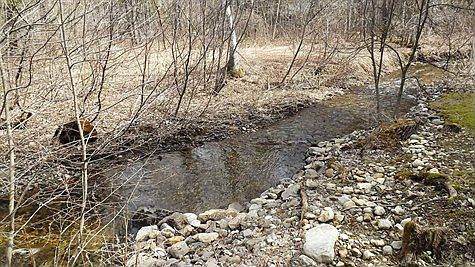 brook right behind house