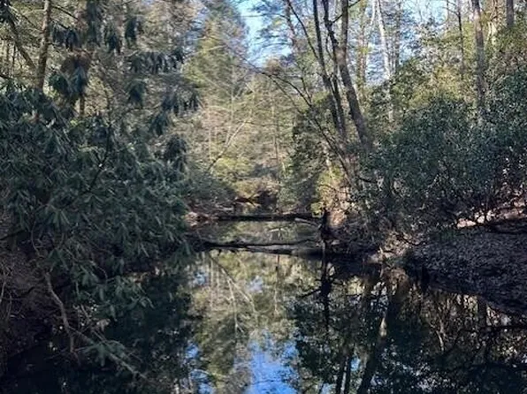 7 50th Ave, Gruetli Laager, TN 37339