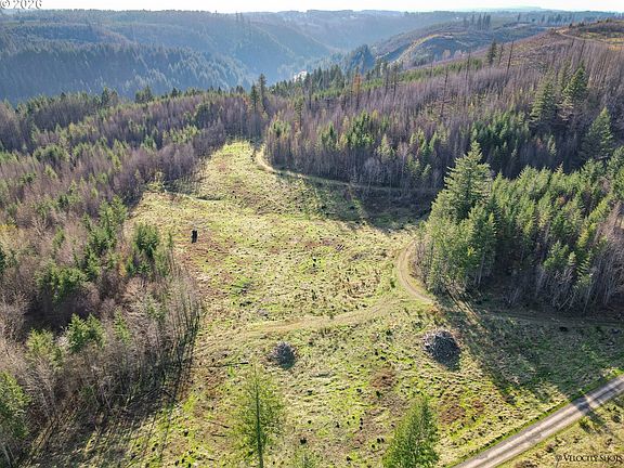 2nd image of 0 SE Michaels Rd