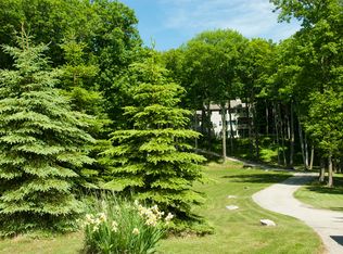 679 S Lake Shore Dr, Harbor Springs, MI 49740