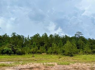 13255 Blackberry Dr, Lumberton, TX 77657