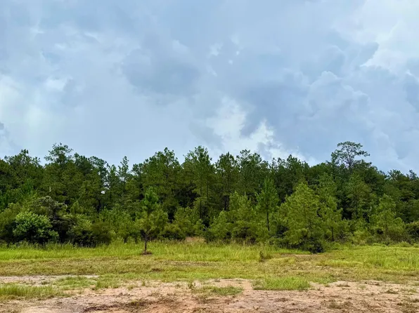 13255 Blackberry Dr, Lumberton, TX 77657